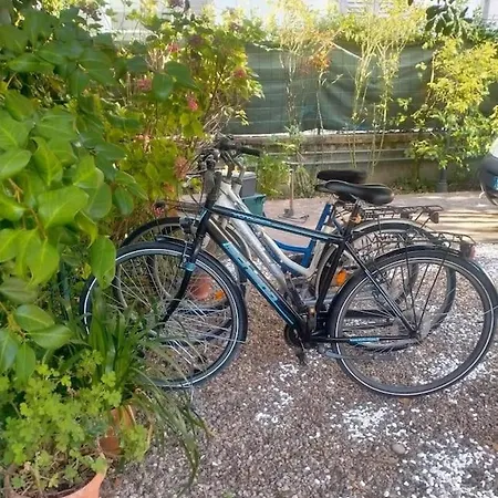Apartment Just Outside The Wall: Free A/c, Bikes And Wifi Lucca